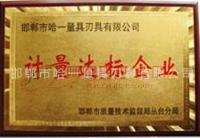 計量達標企業(yè)